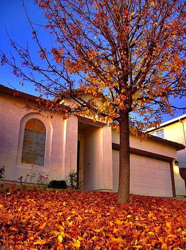 111 Lembi Dr Photo 1