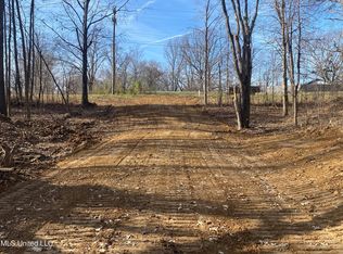 Longtown Rd, Sarah, MS 38665