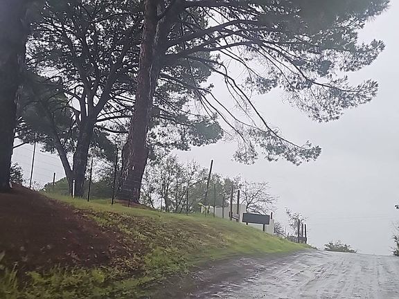 5th image of 3436 Davis Dr