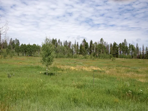 22555 Cheyenne Trl, Oak Creek, CO 80467