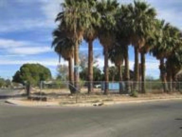 2nd image of 489 S Magnolia Ave
