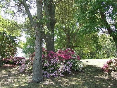 2nd image of Kingsley Street LOT 1
