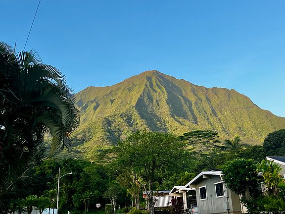 Konahuanui, highest peak in Ko'olau range, from the driveway