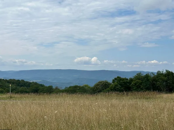 LOT 24 Pointy Knob Rd, Davis, WV 26260