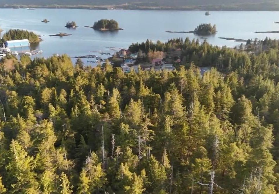 1st image of Nsa 7600blk N Tongass Hwy