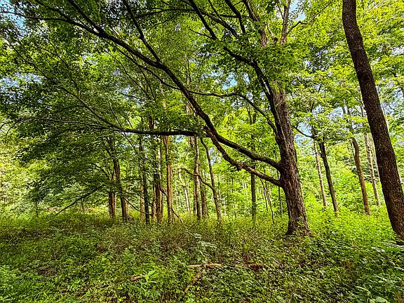 5th image of 0 Kerr Hill Rd