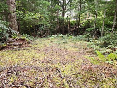 0 xxx NE Lake Christine Road, Tahuya, WA, 98588