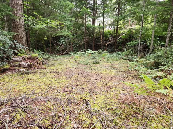 0 NE Lake Christine Road, Tahuya, WA 98588