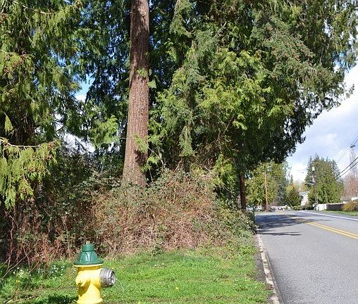 4th image of 0 XXXX 99th Avenue NE