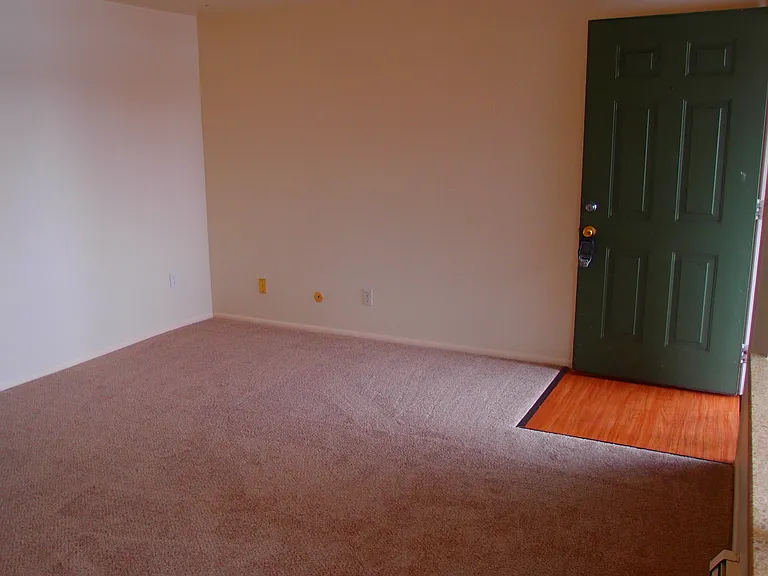 2437 Spruce street — Photo 21