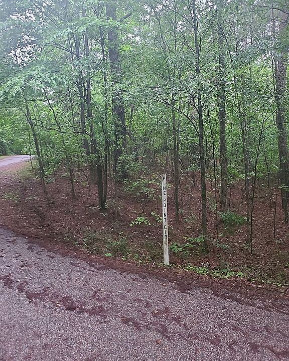 2nd image of LOT 152 Rogers Springs Rd
