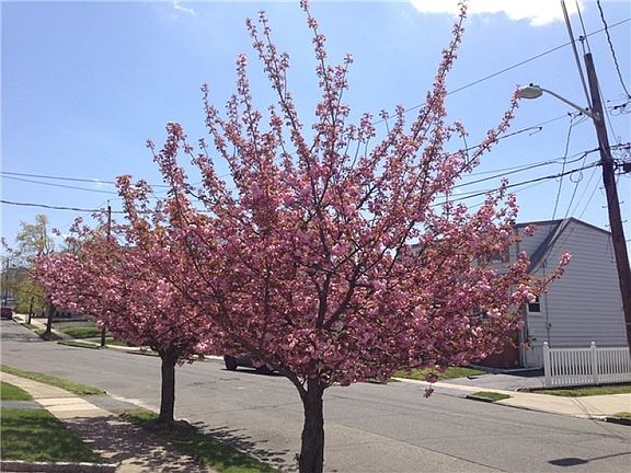 5th image of 218 Boston Ave