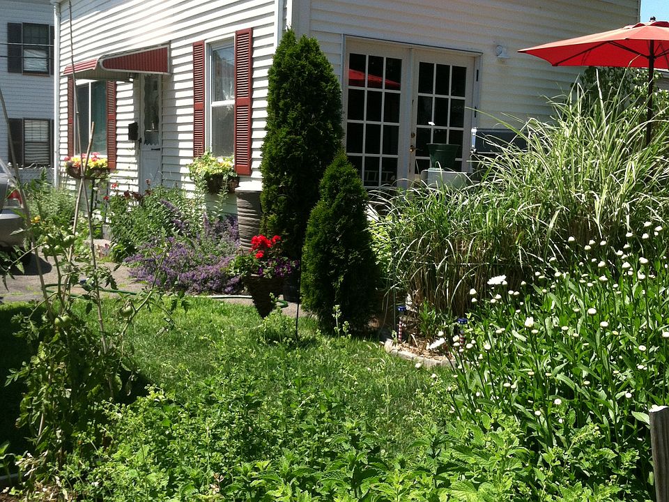 Perennial garden 