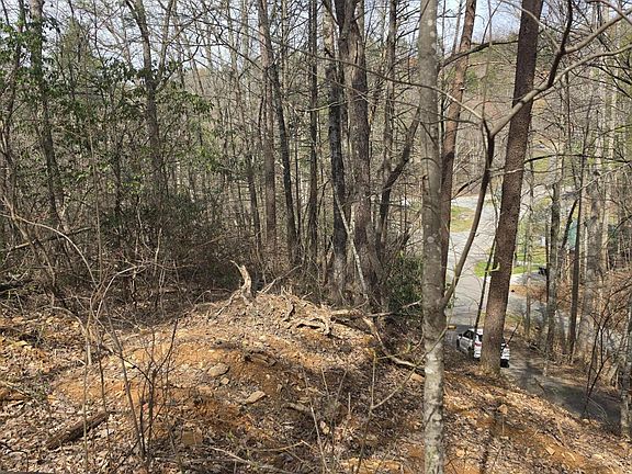 3rd image of 101 Ridgefield Dr