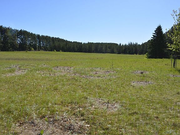 2nd image of 3334 Evergreen Ave Lot Wp001