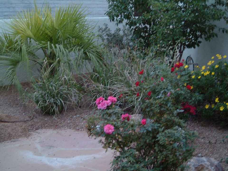 Front court yard