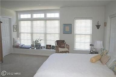 4th image of 4513 Whittemore Pl #1711