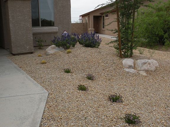 Professionally landscaped in front 