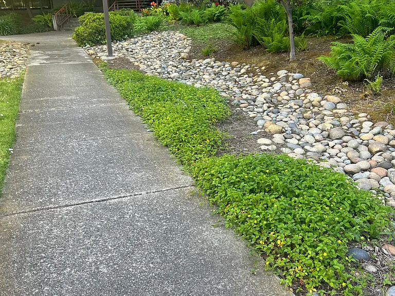 820 Sea Spray Ln #303 — Photo 18