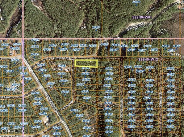 L-248 E Caswell Lakes Rd, Willow, AK 99688