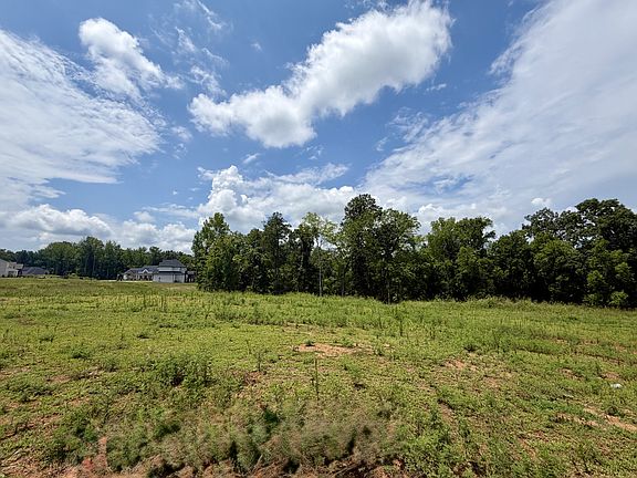 4th image of 2054 Daniel Johnson Way Lot 108