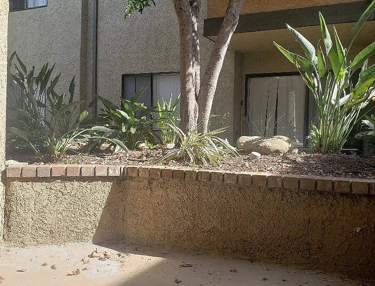 Saticoy Gardens — Photo 66