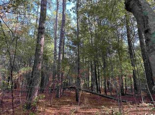 Willtown Rd, Kingstree, SC 29556