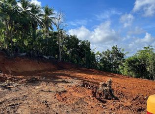 Bo Pajaros Carr #K3-H1-862, Toa Alta, PR 00953