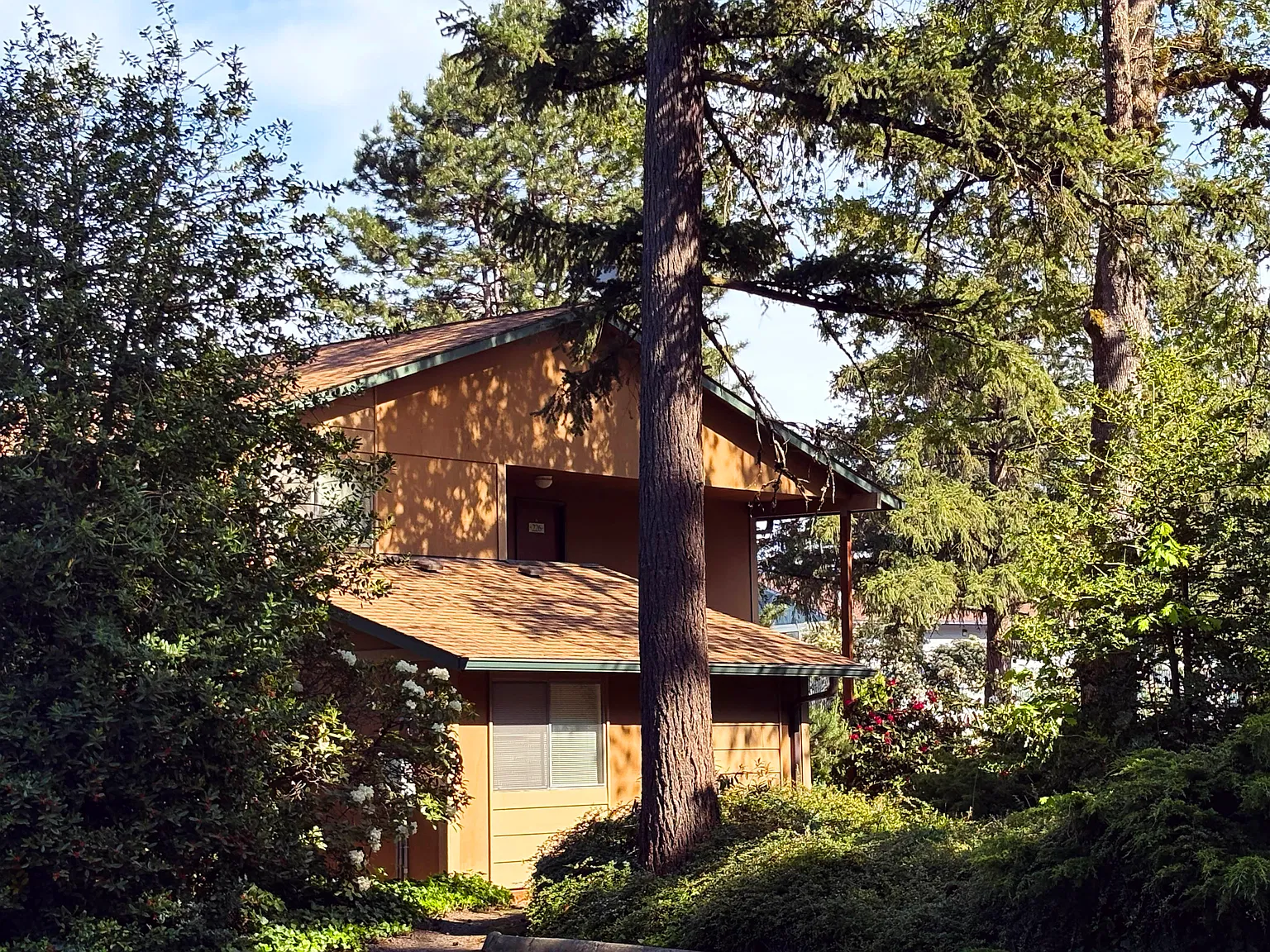Fir Haven Apartments — Photo 4
