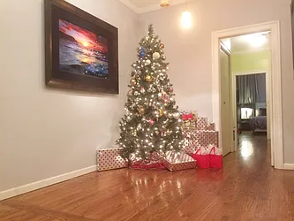 Rented by Bedford Realty USA Corp