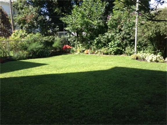3rd image of 231 Myrtle St #2