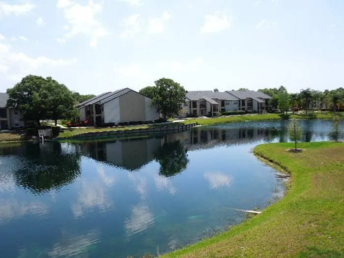waterfront condo