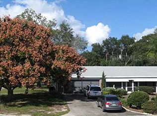 187 Raintree Dr, Orange City, FL 32763