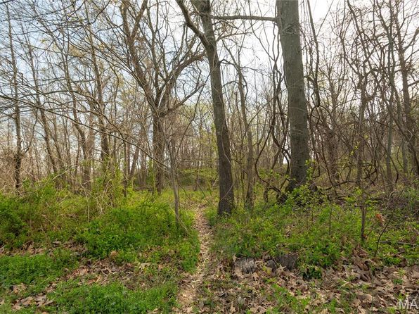 123 County Road 639, Dexter, MO 63841