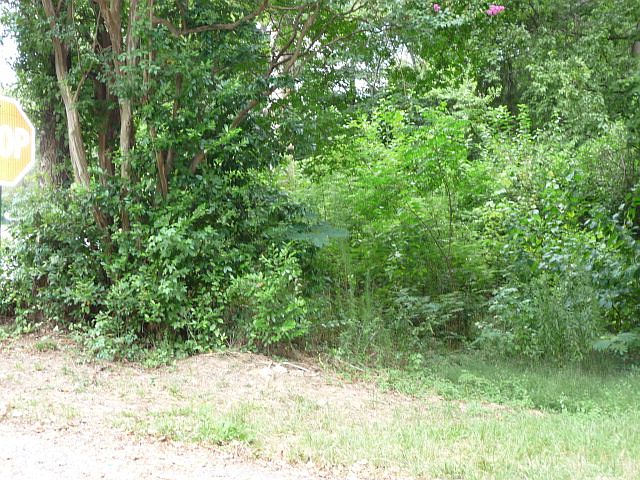 1st image of 17th Ave