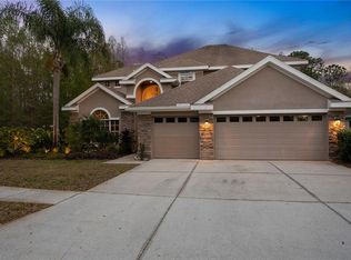 11333 Minaret Dr, Tampa, FL 33626