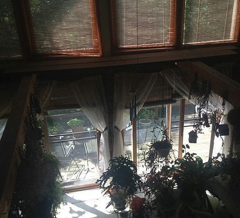 3rd image of 497 Sanctuary Dr