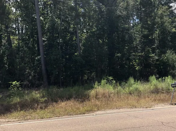 447 Tbd La Hwy, Walker, LA 70785