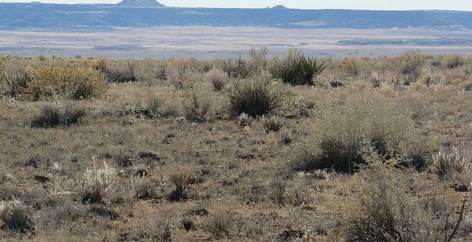 1st image of LOT 243 Old Us Route 66