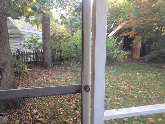 Backyard View