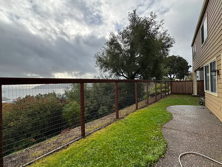 Rear yard