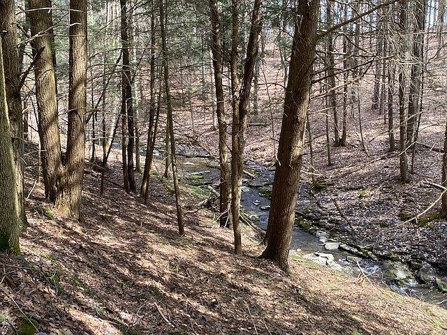 2nd image of 549 County Road 9