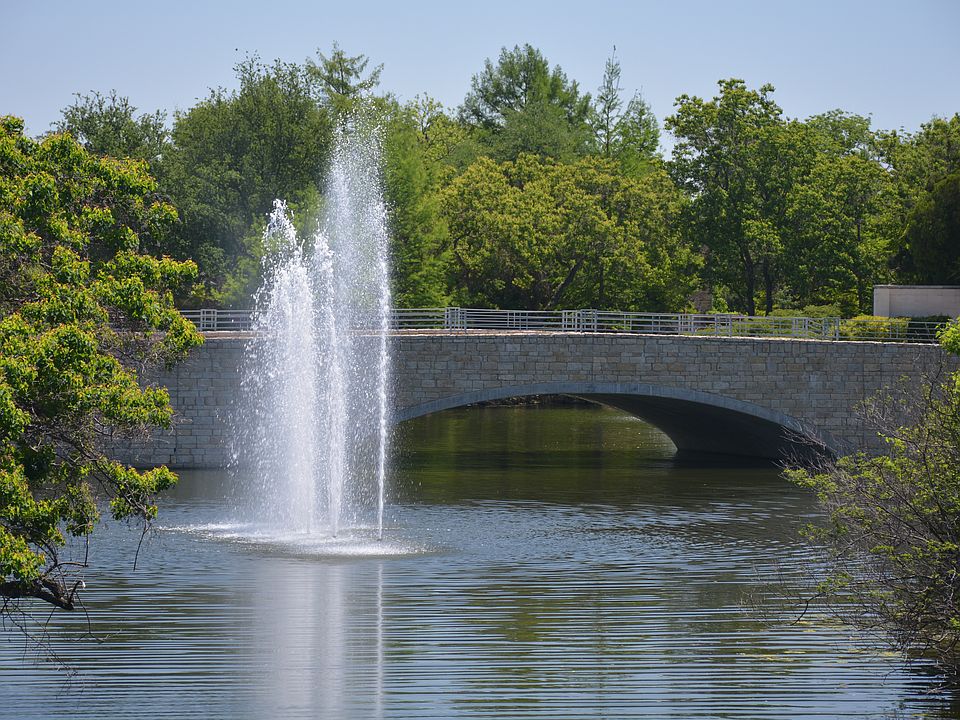 Gorgeous Lake and Fountain 