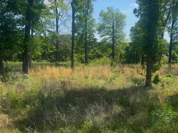 (undisclosed Address), Lonoke, AR 72086