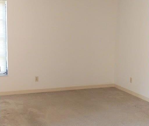 3rd image of 314 Palm Coast Pkwy NE APT 204