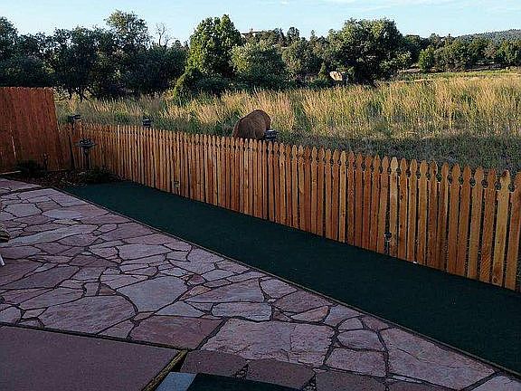 south facing in  morning