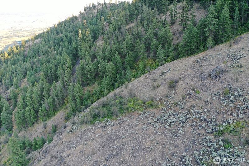 5th image of 111 Eaglebluff
