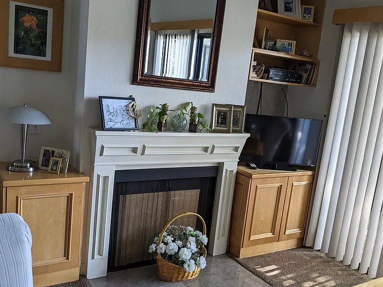 Fireplace and shelving