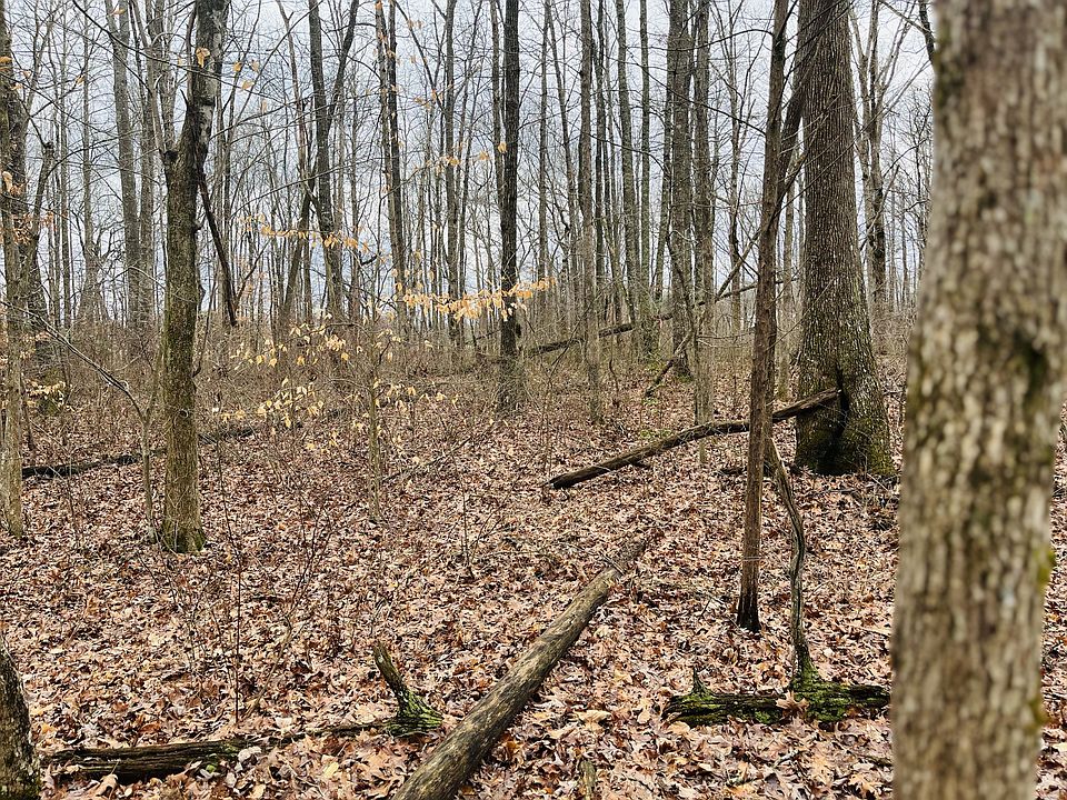 165 Sunset Blf Monteagle, TN, 37356 Apartments for Rent Zillow