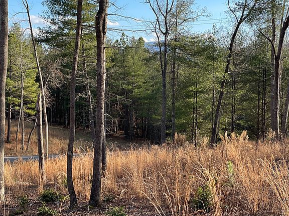 3rd image of LT 76 Highland Park